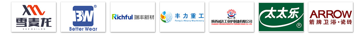 c型斗式提升機案例